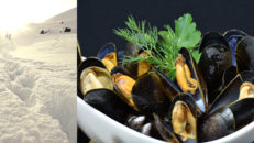 Otur med turen, men tur efter den inställda turen