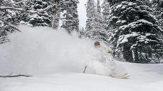 Malou Pettersson åker bara puder