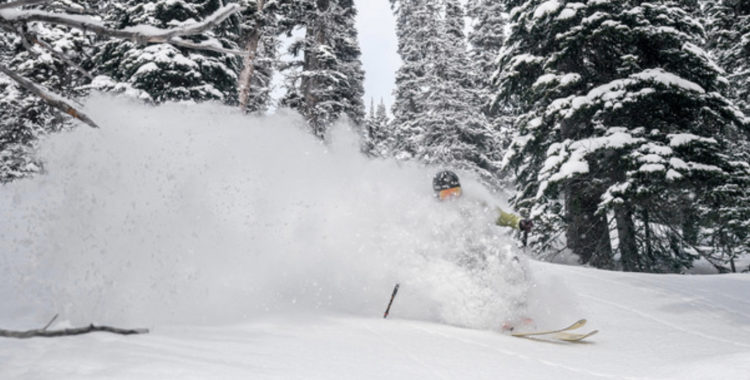 Malou Petterson åkte mycket puder förra vintern, nu har hon gjort en kortfilm med de bästa shotsen.