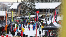 Vilken är årets bästa allmountainskida vintern 2019/2020?