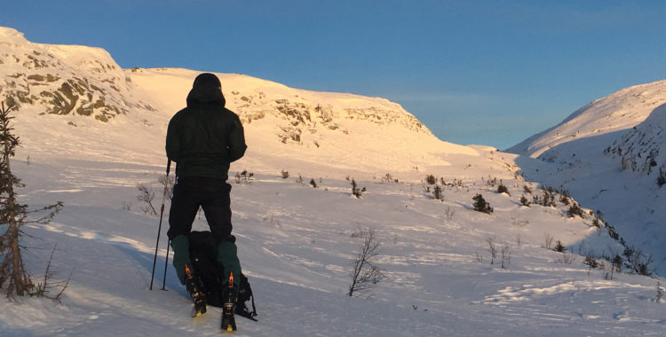 En av de tusen laviner som observerades förra året i Sverige. 