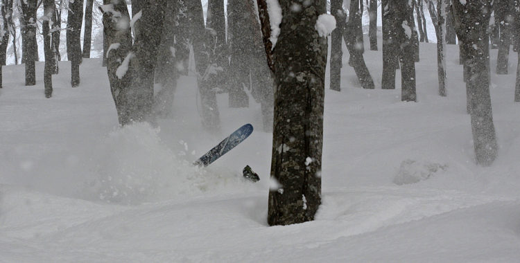 Vad gäller egentligen för garanti från olika tillverkare om ett bindingshaveri skulle vara framme?