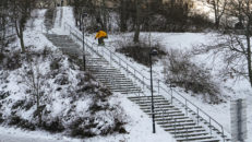 Henrik Harlaut och Flaxta inleder samarbetet