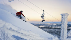 Folkhälsomyndigheten: ”–Sveriges skidorter behöver inte stänga på grund av corona”