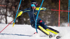 Landslagsåkarna stannar hemma i Skandinavien på grund av coronaviruset