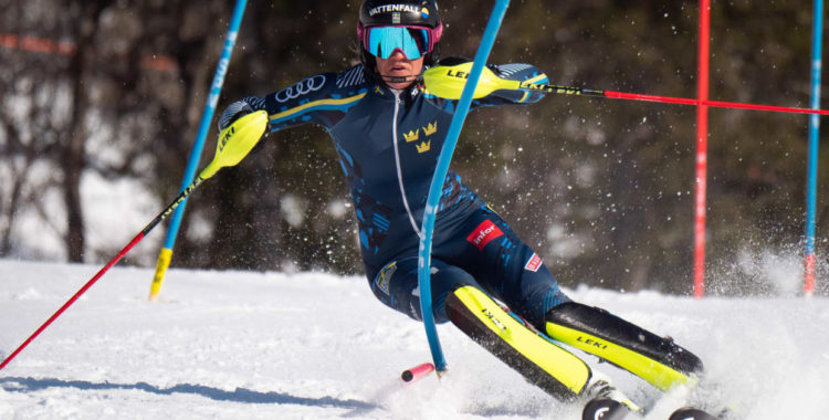 Alpint och ski cross Sverige kommer inte tävla eller träna utanför Skandinavien efter helgen.