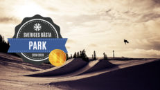 Detta är Sveriges bästa park 2020