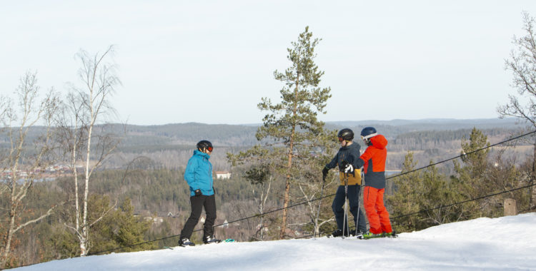 Tolvmannabacken utanför Kisa säljs.
