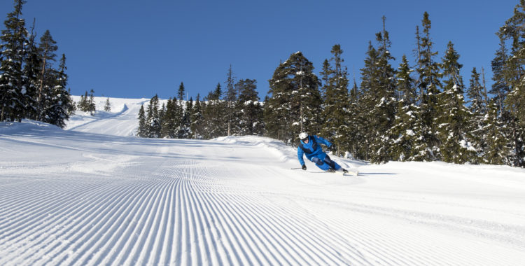 Stöten vässar sina av- och ombokningsvillkor, ffa för dig som bokar nu i september. 