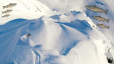 Stora laxar och stora åk med McKenna Peterson