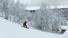 Tillbaka i Tänndalen: Försäsong i pestens tid