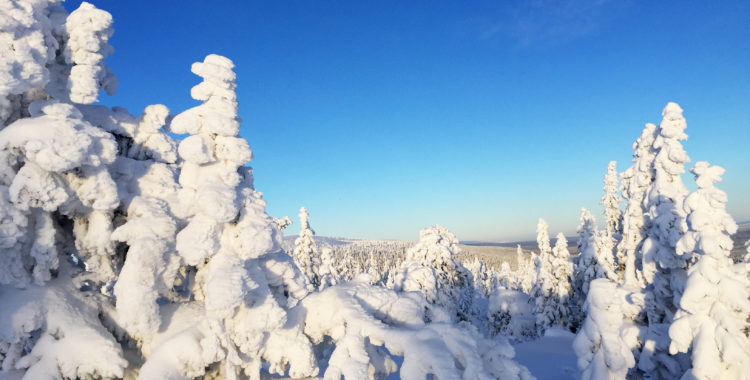 Sälenfjällen välkomnar sina gäster i vinter, men åsikterna går isär.