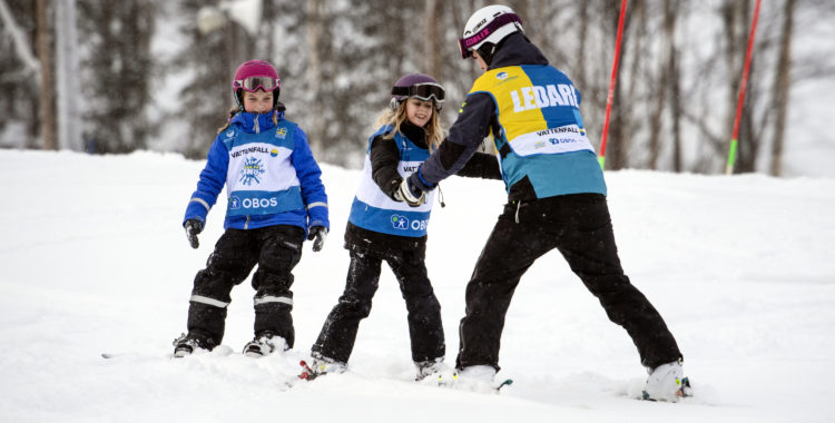 Svenska skidförbundet får ekonomiskt bidrag på 15 miljoner att bla lägga på sitt projekt 