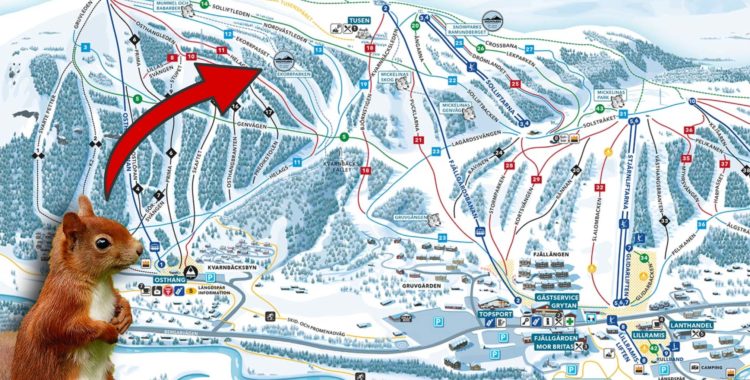 Nya ekorrparken ligger i Osthang, Ramundberget.