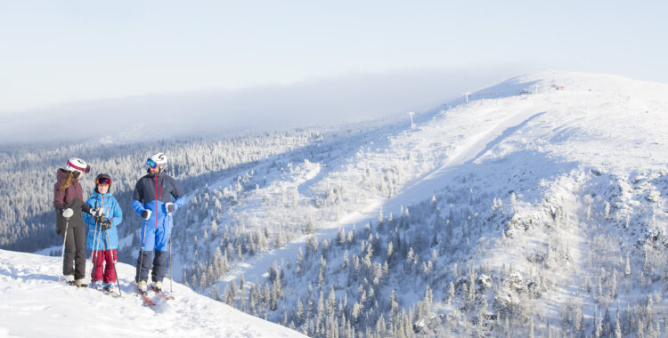 Nytt skidområde i Vemdalen.