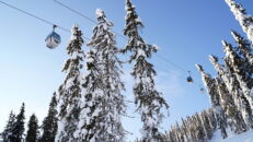 Skyhöga elpriser = höjda liftkortspriser?