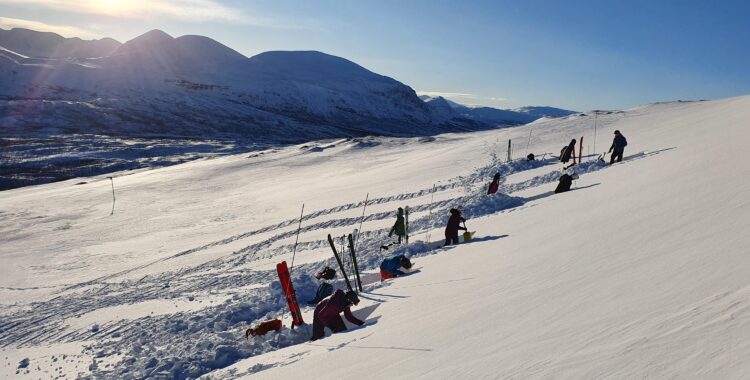Det behövs fler kvinnor i branschen.