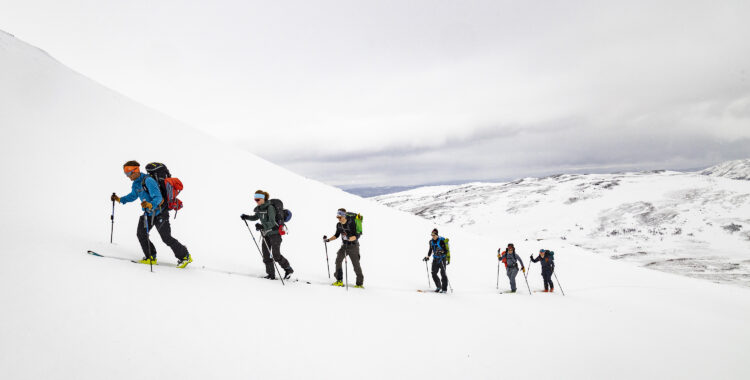 Guiden Christoffer Axelsson leder gruppen upp mot Höga Jämtlandsledens första topp.