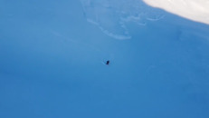 Film – se hur skidåkaren jagas av en lavin i Åre