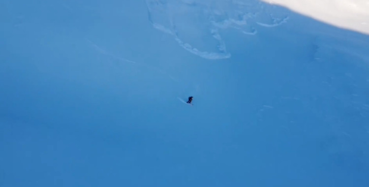 Lavinen jagar skidåkaren i Åre.