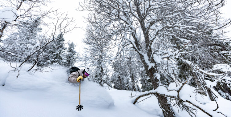 Borgafjäll har riktigt bra offpiståkning!