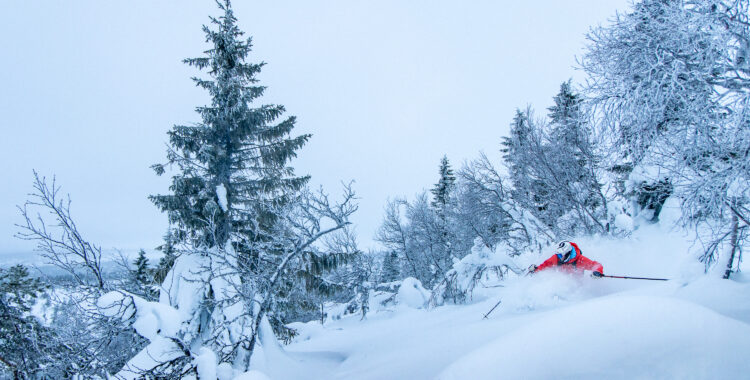 Lofsdalen bjöd på oväntat fin skidåkning.