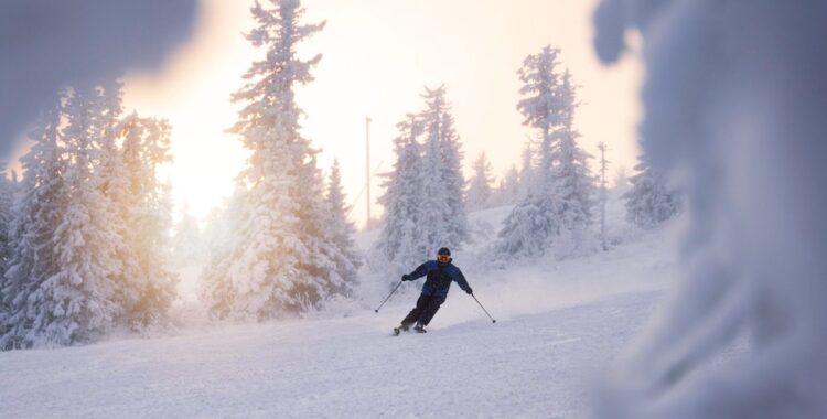Det går bra för Sveriges skidanläggningar.