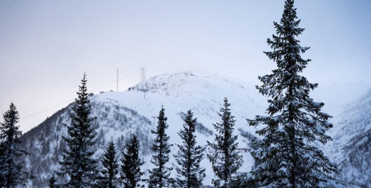 Arkivbild från Åre.
