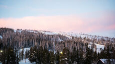 Quiz: Vad kan du om kyla?