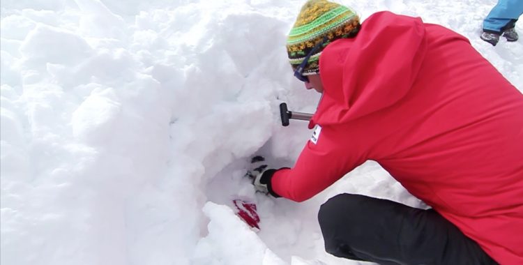 Svensk lavininformation skall reformeras
