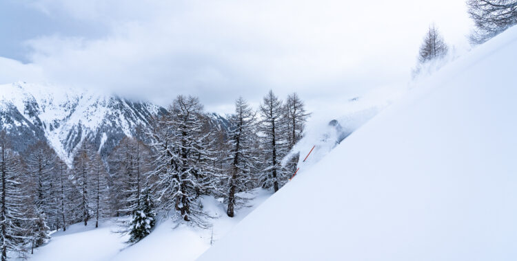 Belöningen av att våga leta där ingen annan letar - puder!