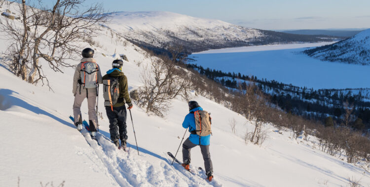 Utsikt över över Grövelsjöfjällen.
