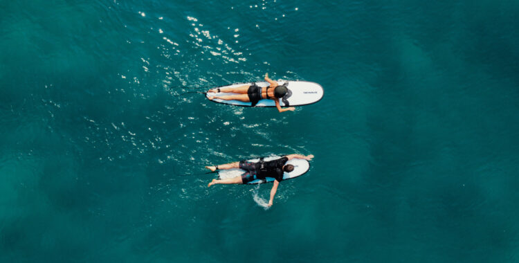 Den modellära surfbrädan