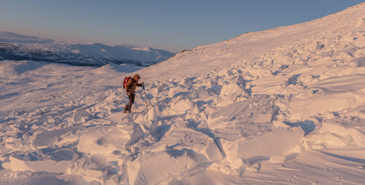 Sveriges Lavinutbildningar.