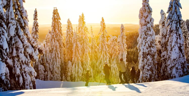 Säfsen satsar stort.