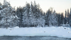 Så påverkas elpriserna av snö och kyla – spara pengar till mer skidåkning