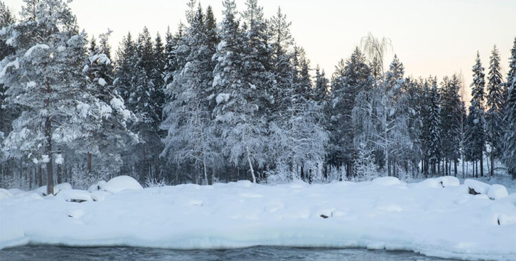 Så påverkas elpriserna av snö och kyla.
