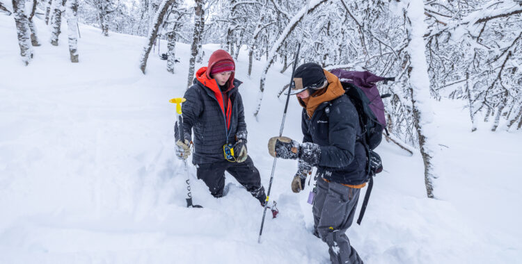 Lavinkurs i Funäsfjällen.