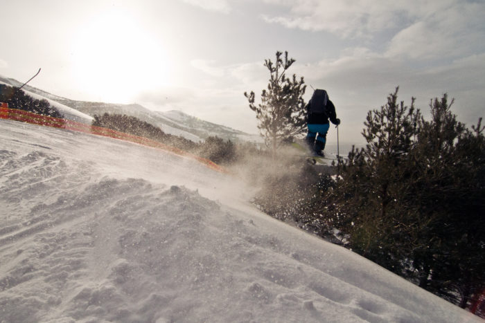 Freddy Olsson hittar en lucka