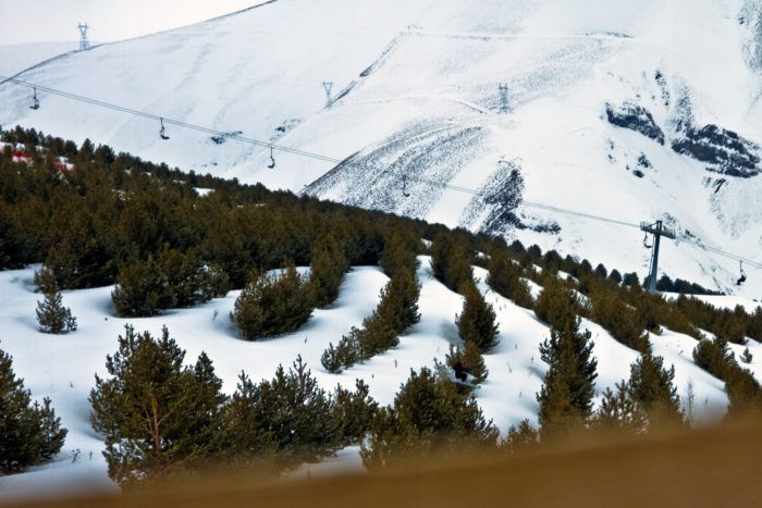 De exakta träden håller erosionen i schakt