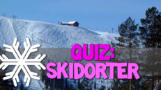 Quiz: Skidorter
