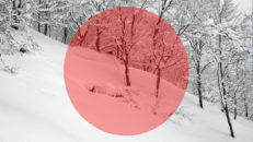 Ja-Pow: Den stora Japan-guiden – Del 2