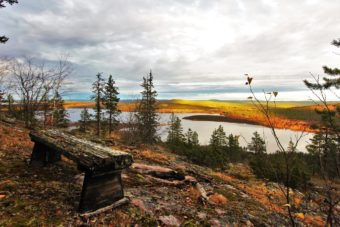 Förberedeleser för nya skogsåk