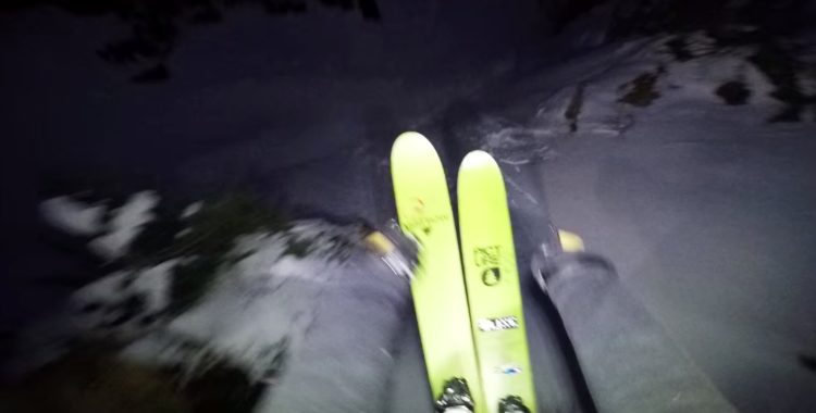 Leo Taillefer - skuggornas regent