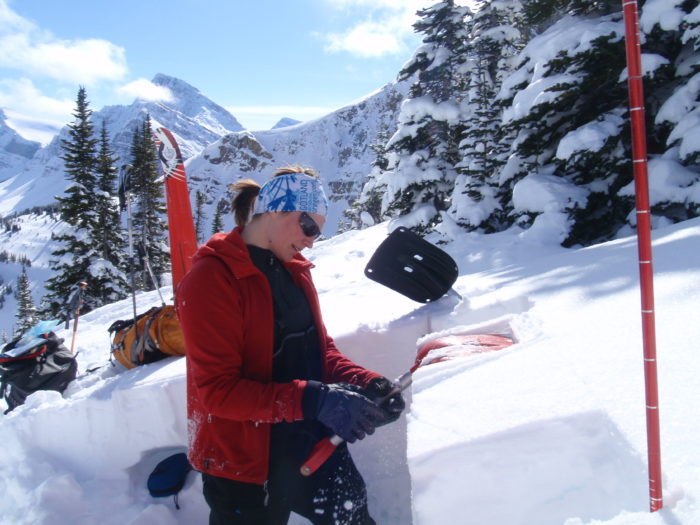 Karin Trolin i arbete