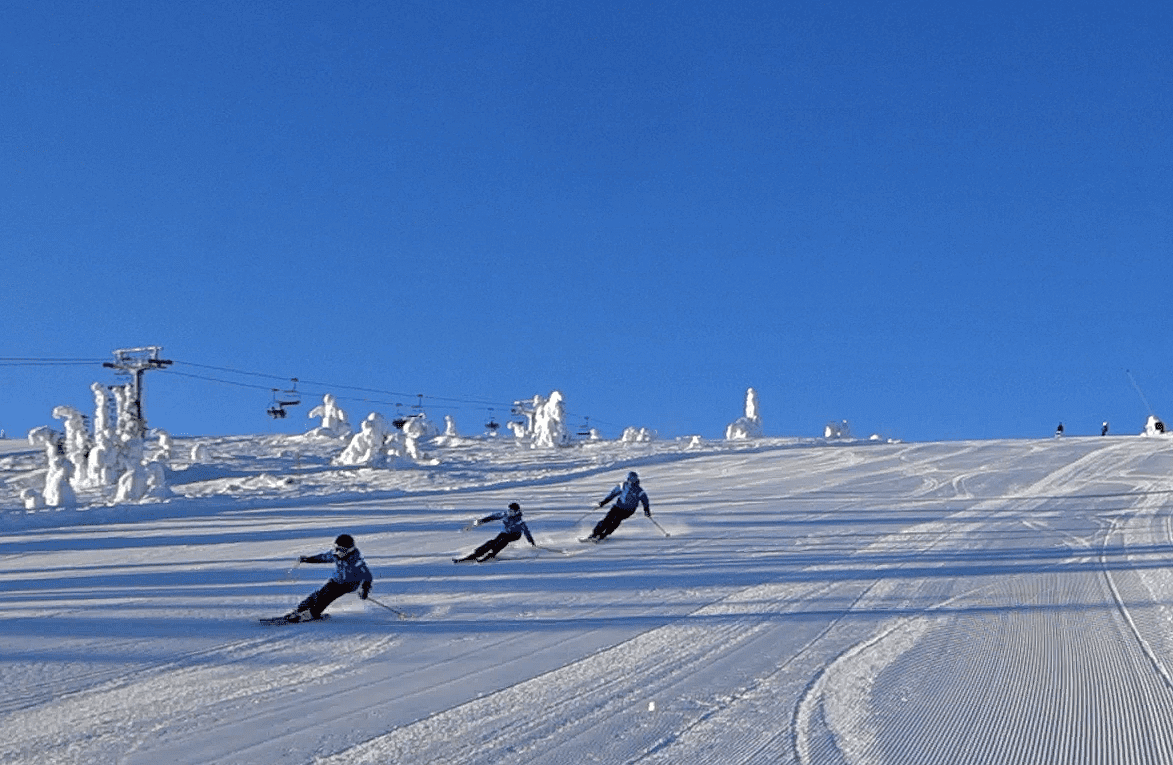 2021-02-12 21.31.58.png