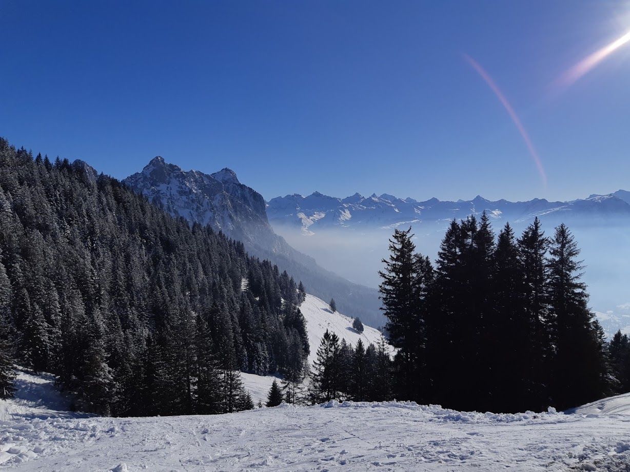 20210110_134649 (1).jpg