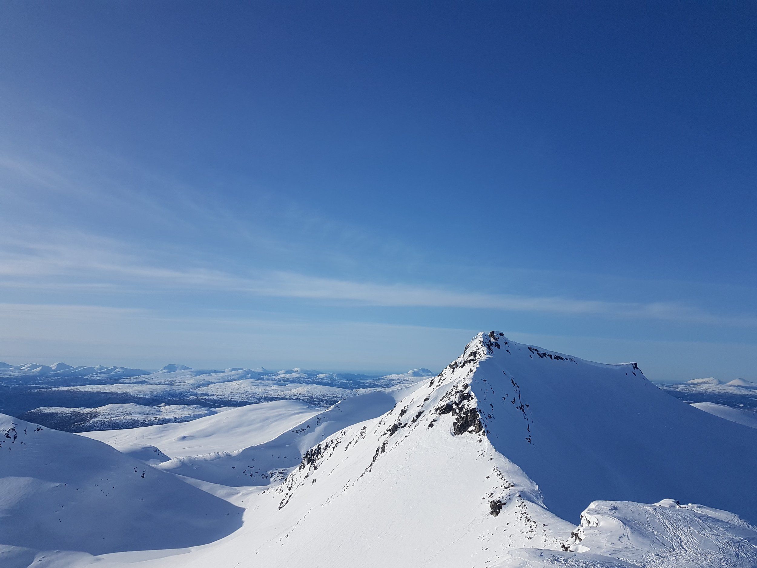 20230405_173810 - Copy.jpg