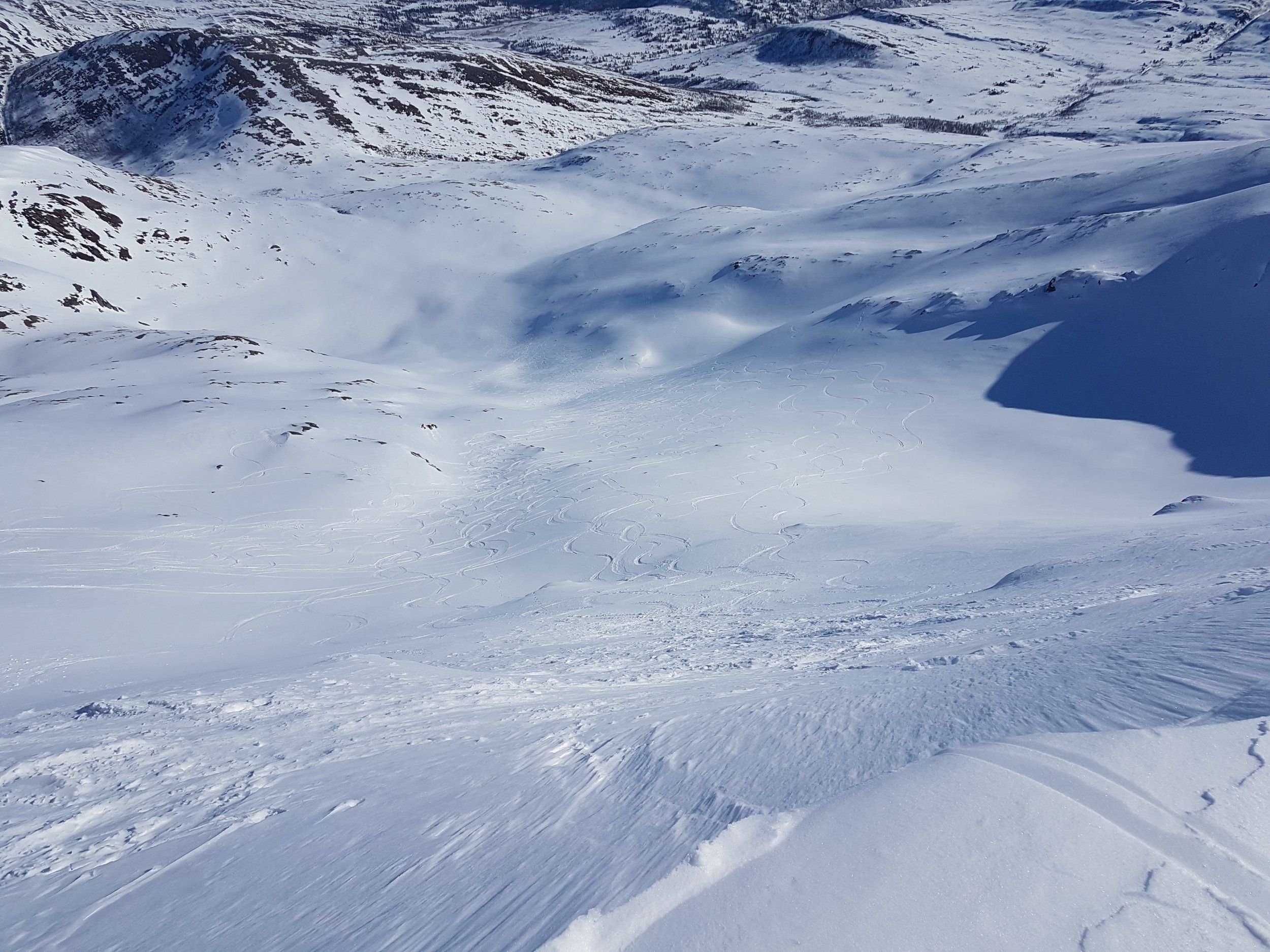 20240330_113722 - Copy.jpg