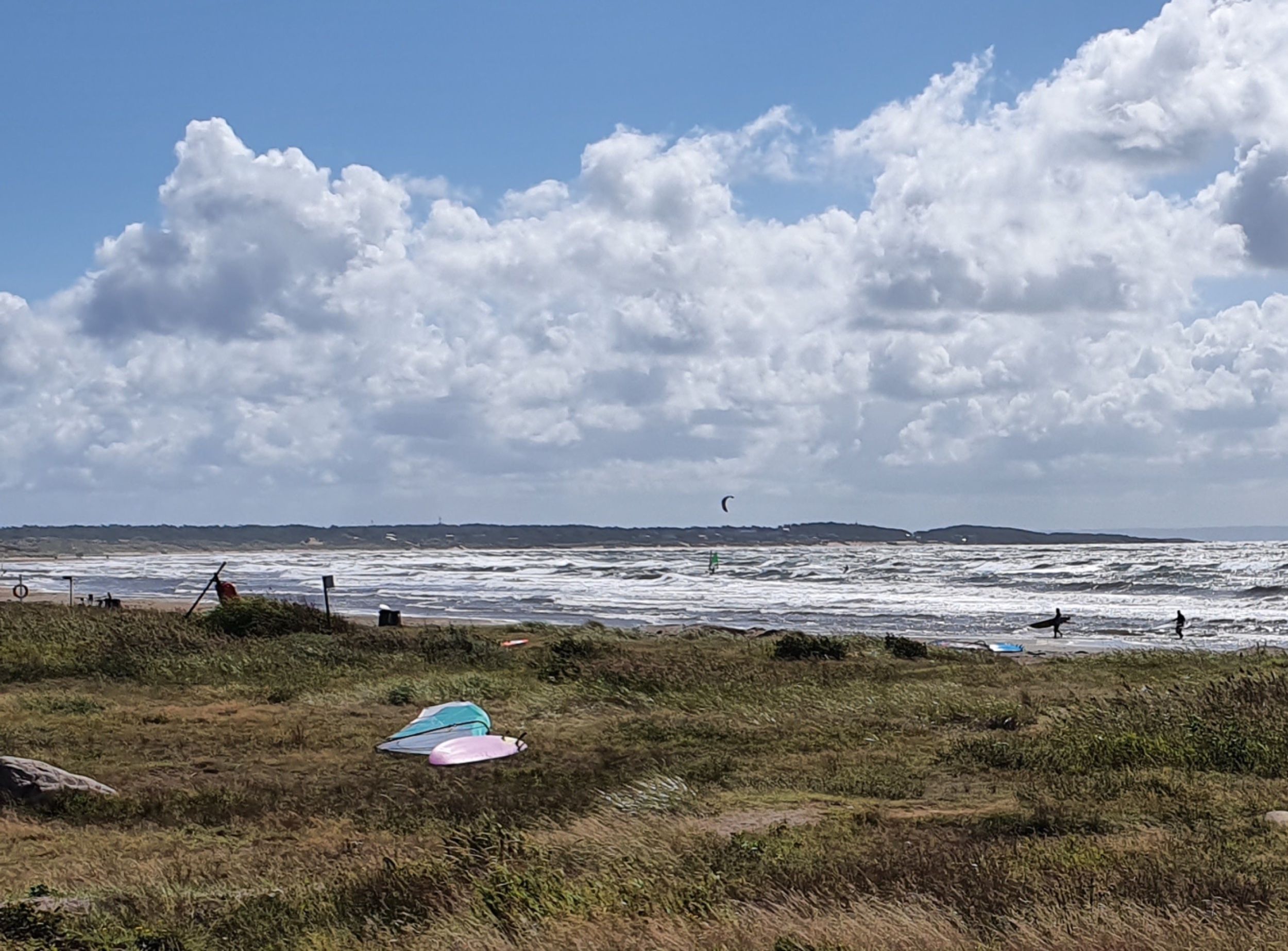 20240811_131954 Copy.jpeg